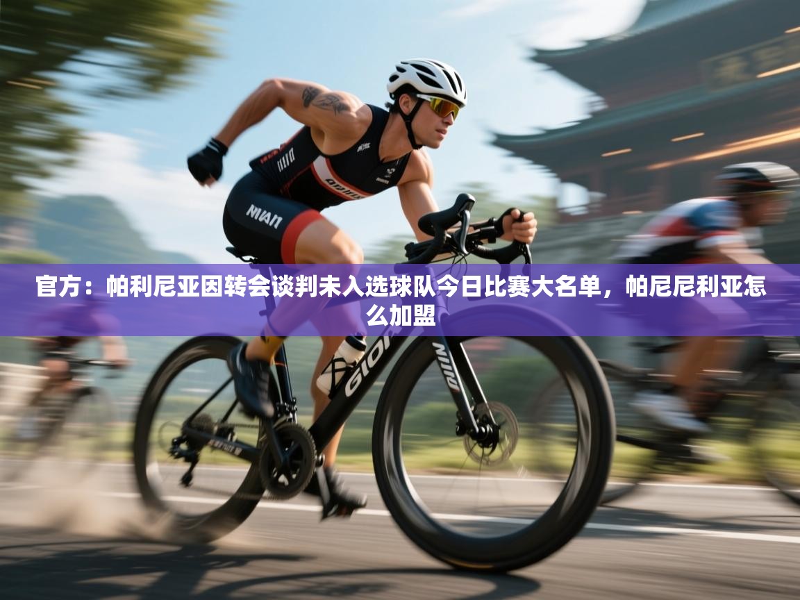 海星体育直播-官方：帕利尼亚因转会谈判未入选球队今日比赛大名单，帕尼尼利亚怎么加盟